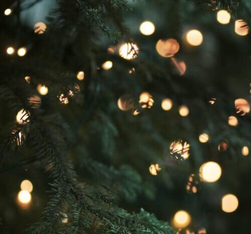 green christmas tree with string lights