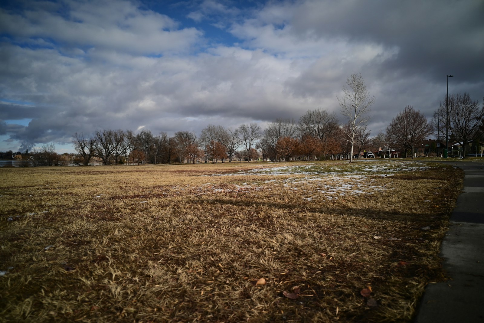 An empty field with a few trees in the background